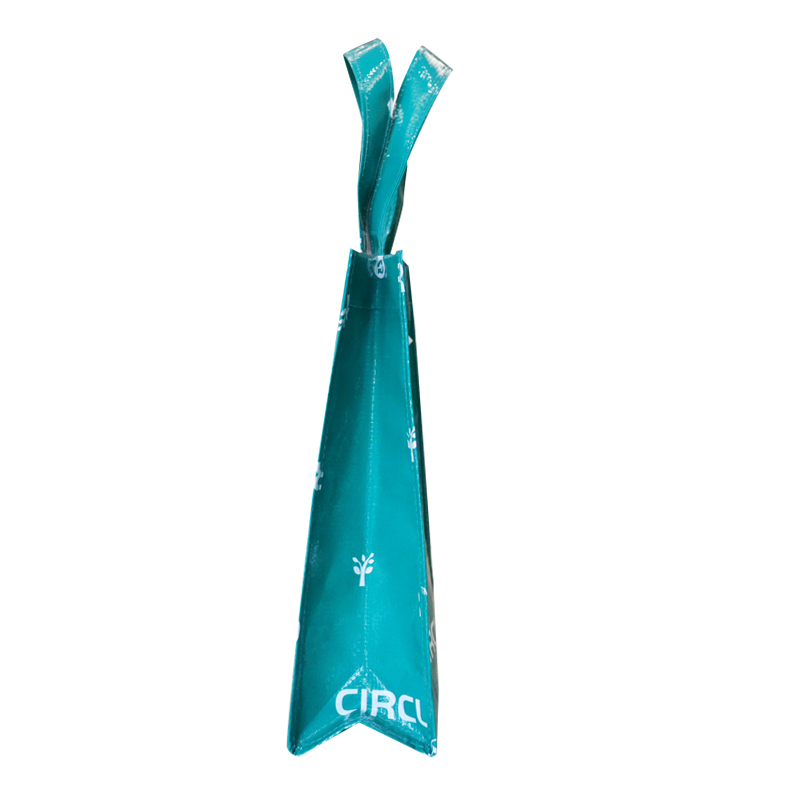 Reusable Shopping Bag CSYM-GBC-03