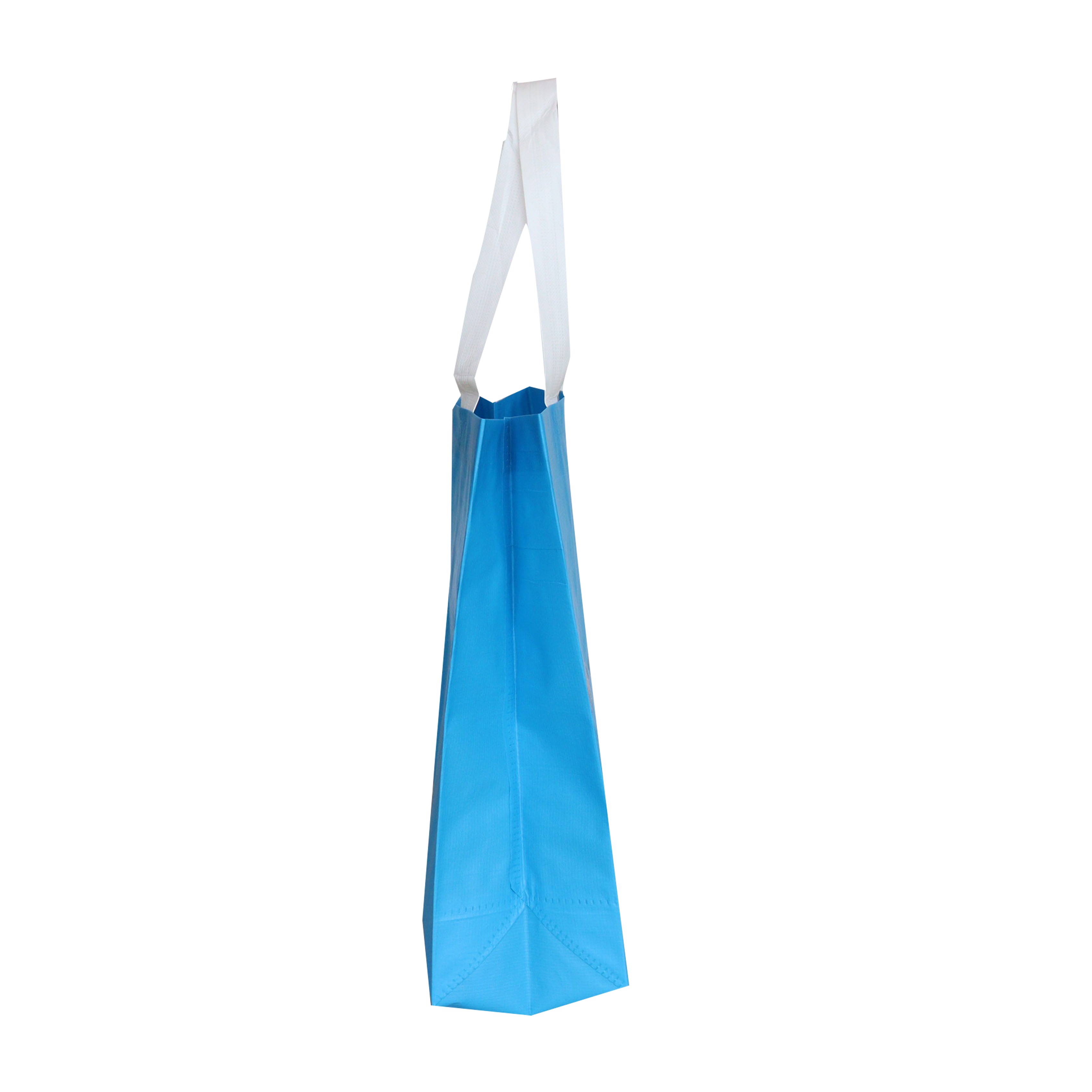 Reusable Handled Bag SK0008110B10ABWN