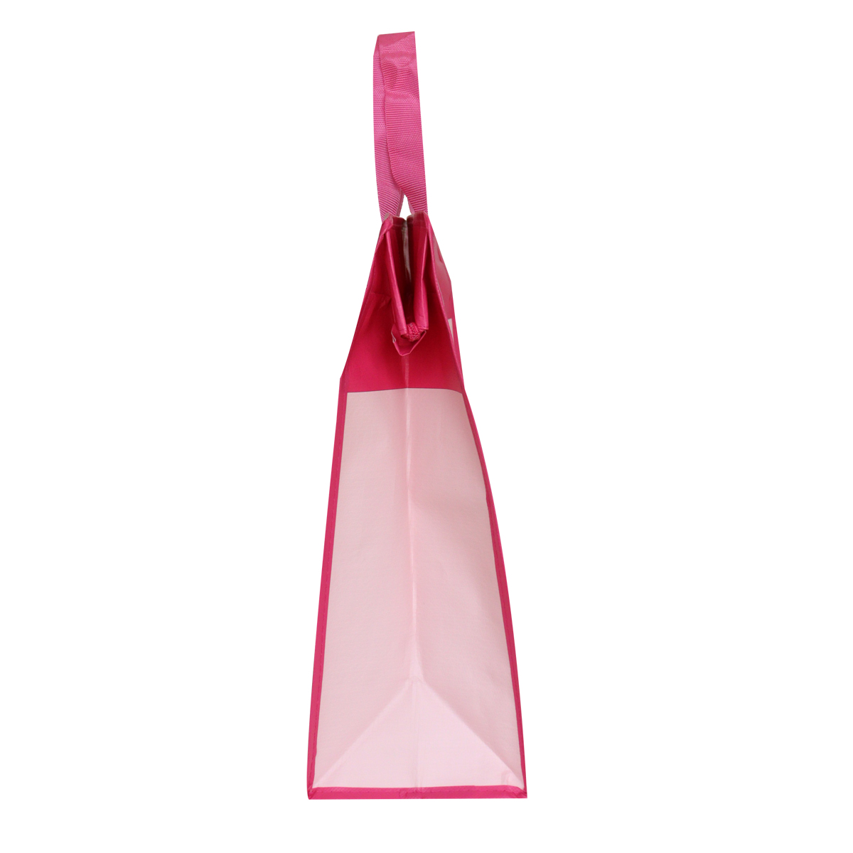 Reusable travel bag with handle  SK0016110B10BDWN