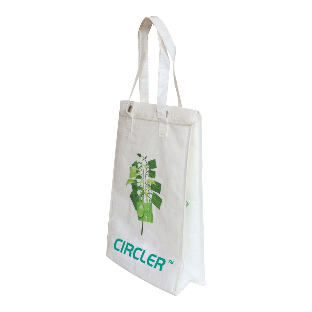 Reusable Cooler Bag