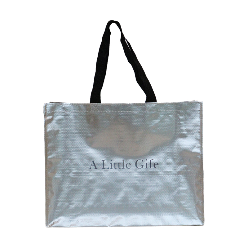 Reusable Fashion Bag SK0021120B14BDWN