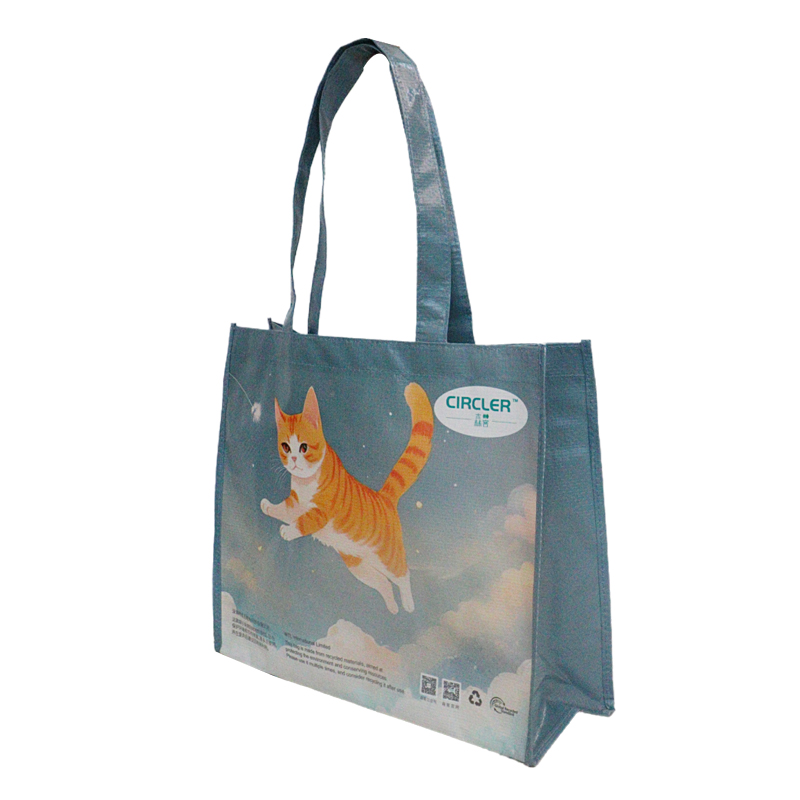 Reusable Fashion Bag SK-DM-01