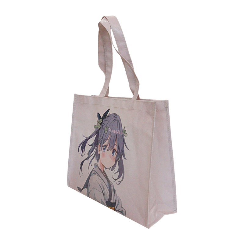 Reusable Fashion Bag SK-DM-05