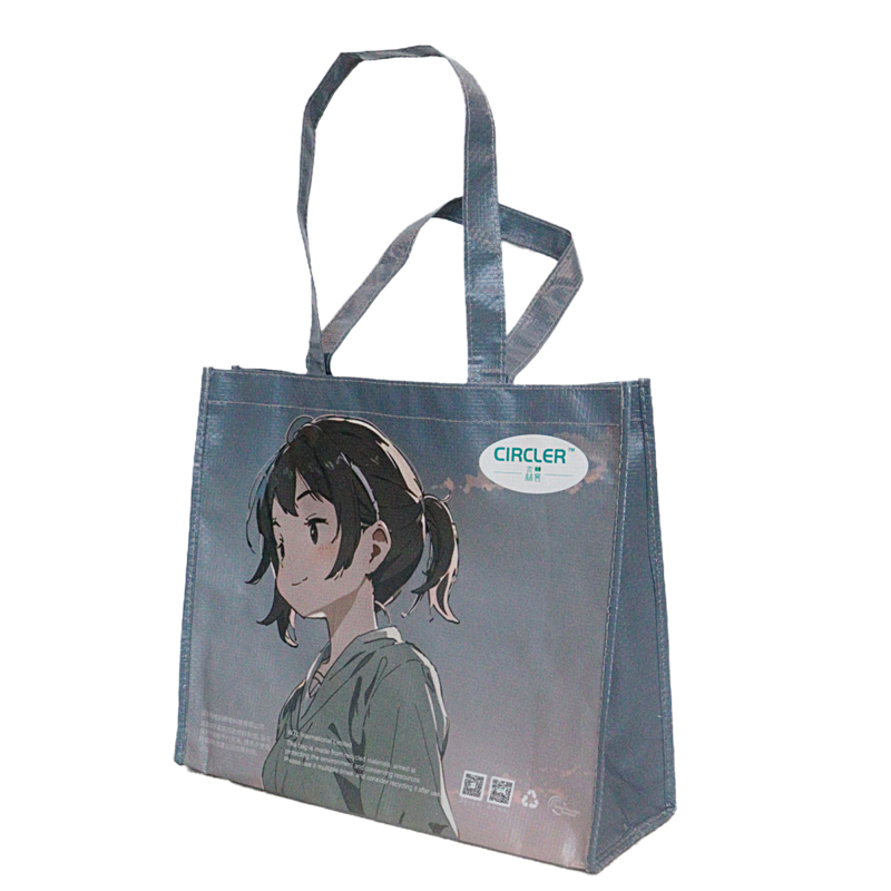 Reusable Fashion Bag SK-DM-08