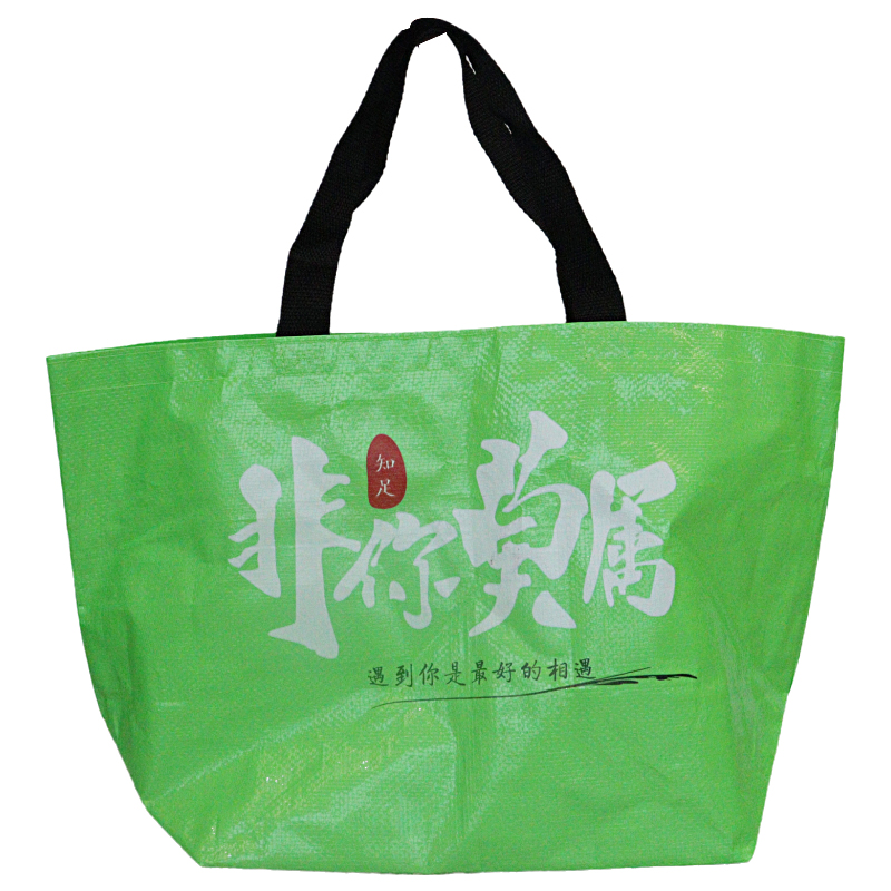 Reusable Fashion Bag SK0020120B10BD WN