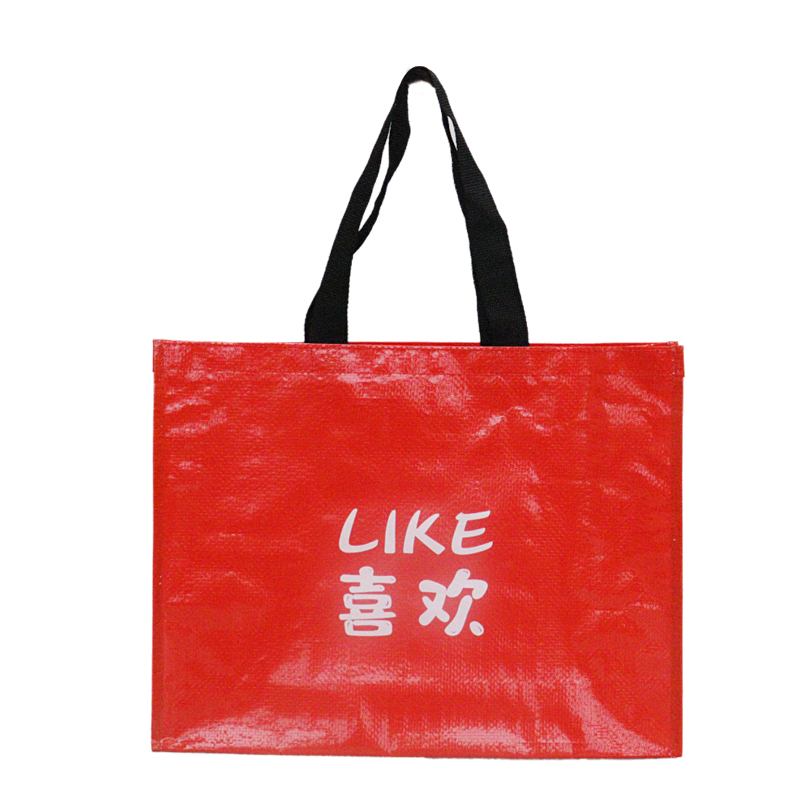 Reusable Fashion Bag SK0021120B14BDWN