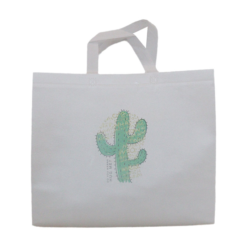 Reusable Fashion Bag SK0022110A13ABWN