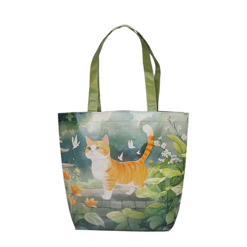 Reusable Fashion Bag SK-DM-02