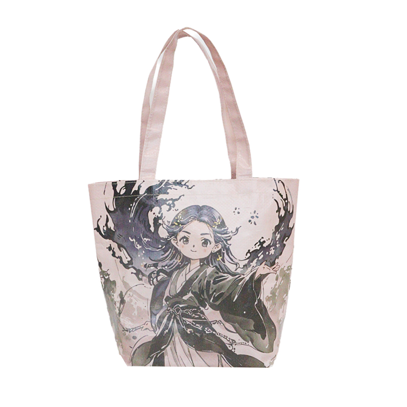 Reusable Fashion Bag SK-DM-10