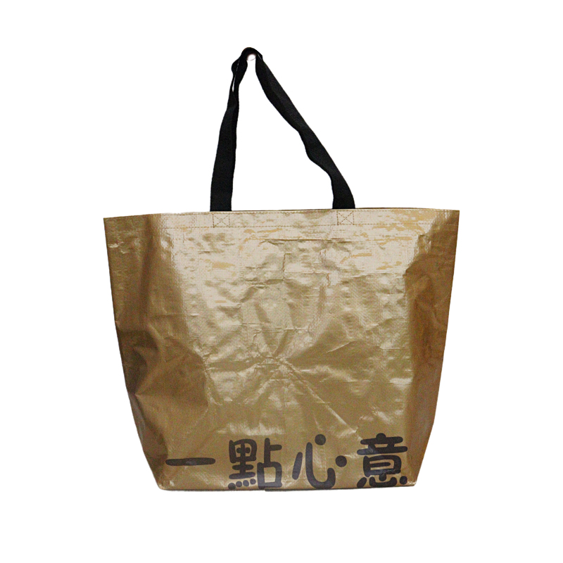 Reusable Fashion Bag SK0018120B10BDWN