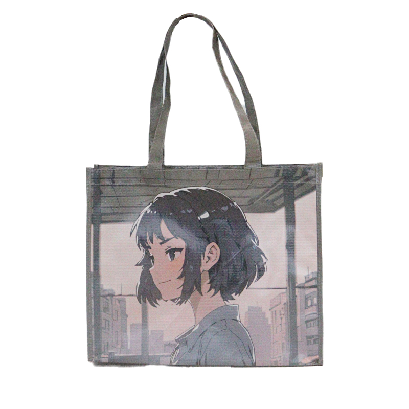 Reusable Fashion Bag SK-DM-03