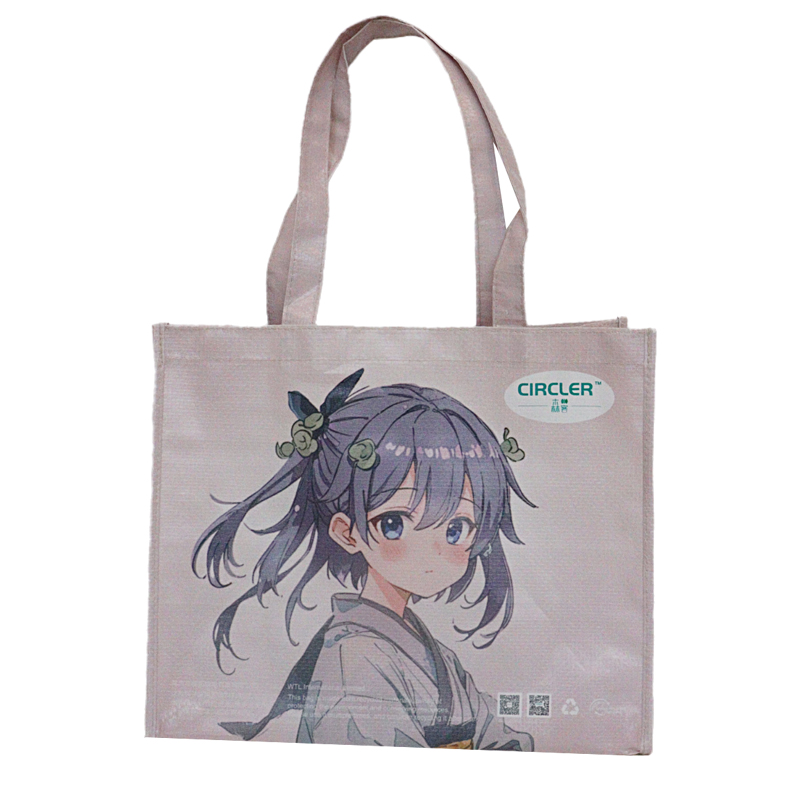 Reusable Fashion Bag SK-DM-05