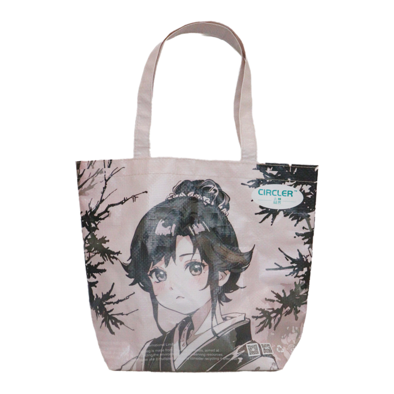 Reusable Fashion Bag SK-DM-12